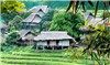 Discovering Mường culture in Giang Mỗ Village - Tour Packages and Vacation | Ancient Orient Journeys