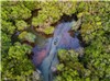 Ru Cha mangrove forest  - Tour Packages and Vacation