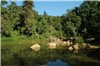 Magagui Jungle – Vietnam - Tour Packages and Vacation | AOJourneys