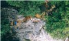 Cu Lao Waterfall - Tour Packages and Vacation | AOJourneys