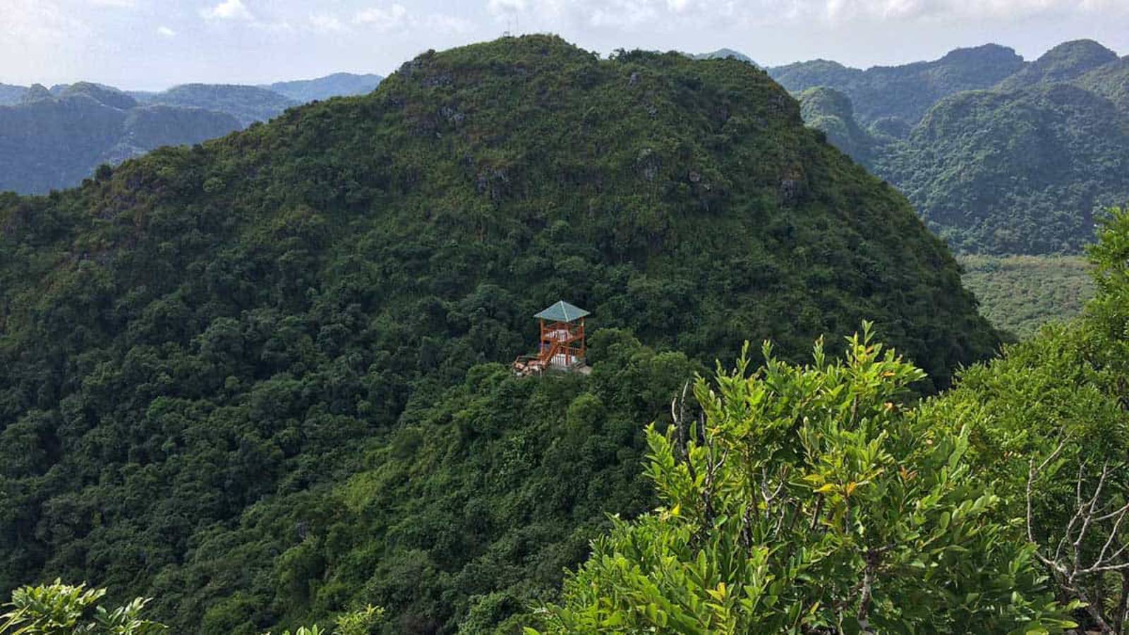 Cat Ba National Park