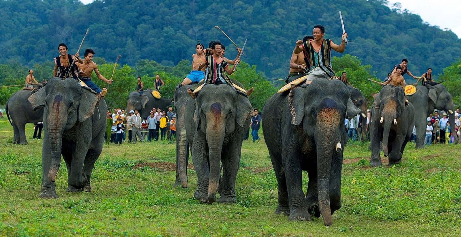 Buon Don Elephant Races - Tour Packages and Vacation | AOJourneys