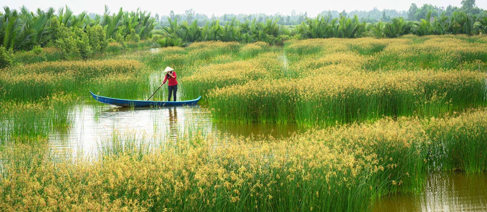 The Best Places To Visit In The Mekong Delta