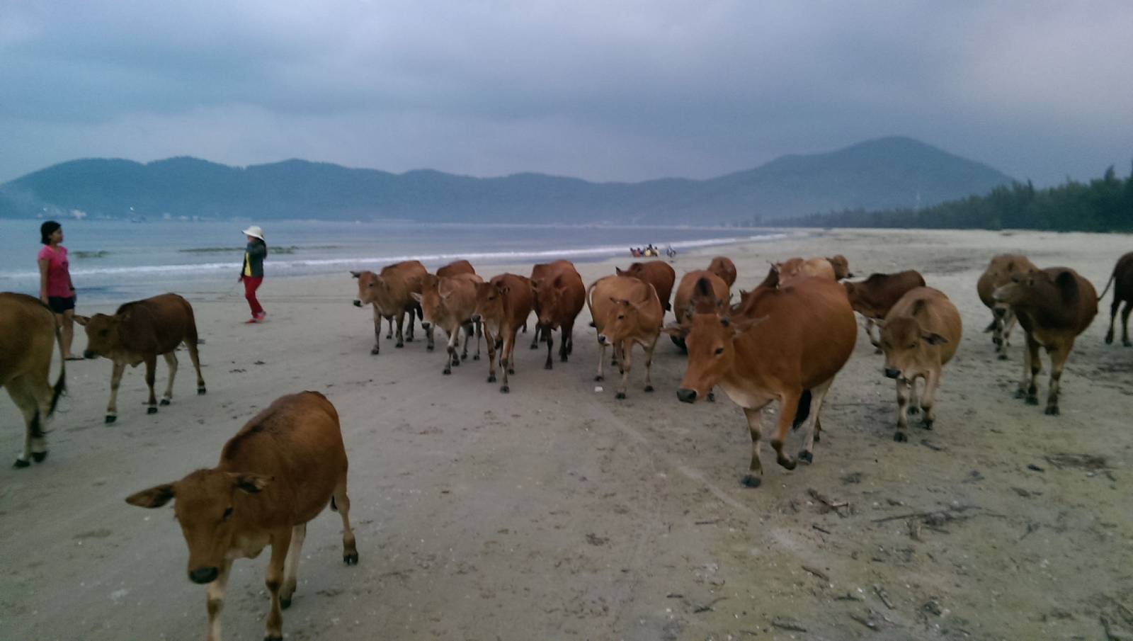 Canh Duong Beach