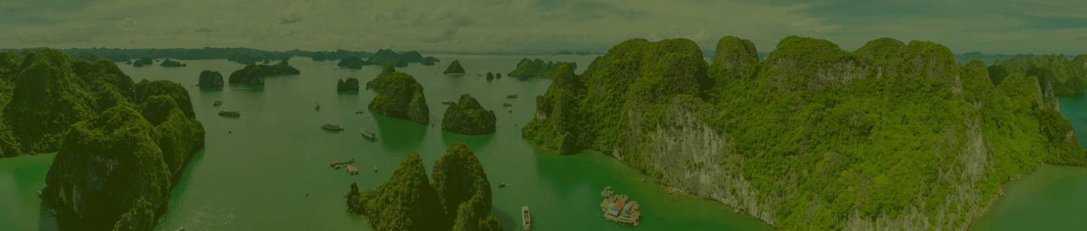 Vietnam Tour Packages 2024