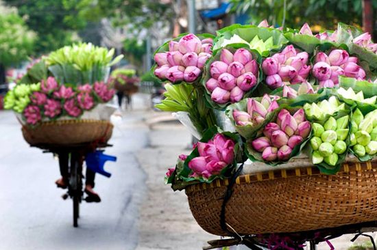 Vietnam tours package;Vietnam tour package 2023;best tour vietnam