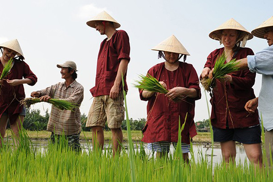 Hoi An – From Farmer to Fisherman Tour - Tour Packages and Vacation | Ancient Orient Journeys