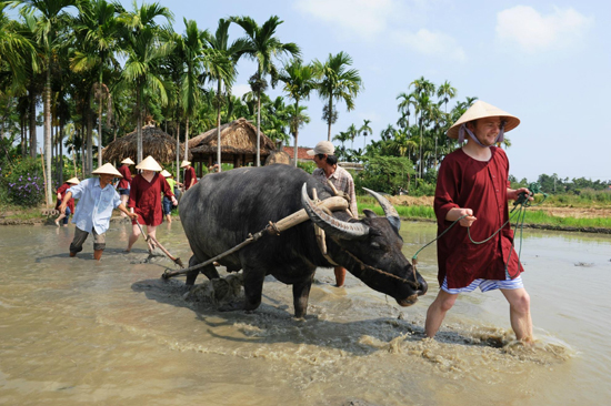 Hoi An – From Farmer to Fisherman Tour - Tour Packages and Vacation | Ancient Orient Journeys