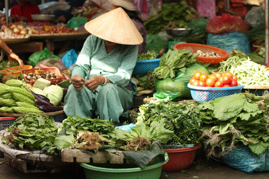 Hoi An Cooking Class 1 day - Tour Packages and Vacation | Ancient Orient Journeys