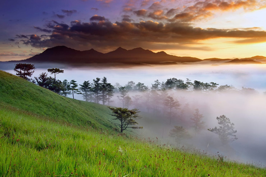 Da Lat tour;Dalat Tour package;dalat tour package from ho chi minh;dalat day tour package;dalat tour guide;dalat countryside tour
1 day in dalat;nha trang tour package;dalat group tour