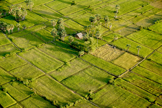 Cambodia Discovery 15 days - Tour Packages and Vacation | Ancient Orient Journeys