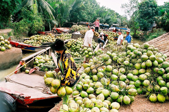 Mekong Delta Cruise;mekong delta cruise from ho chi minh;mekong delta cruise 1 night;mekong delta tour;mekong river cruise;klook mekong delta;mekong delta tour by speedboat;private mekong delta tour;best luxury mekong river cruise