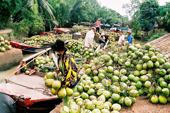 Mekong Cruising 2 days - 1 night by private Mango Cruise - Tour Packages and Vacation | Ancient Orient Journeys